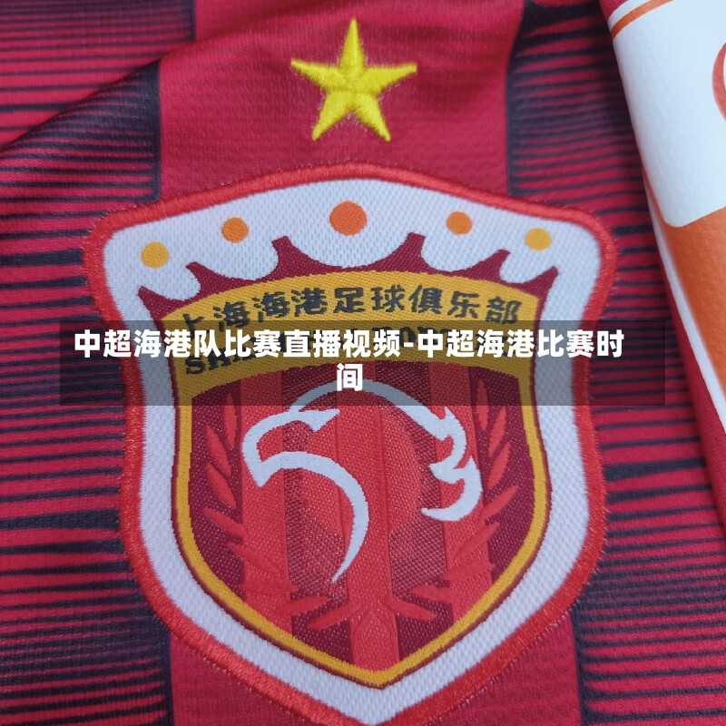 中超海港队比赛直播视频-中超海港比赛时间