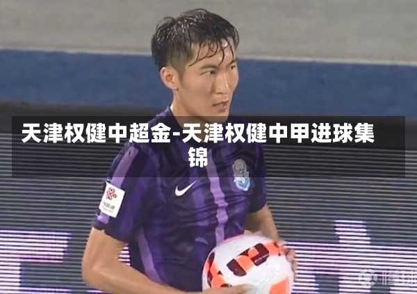 天津权健中超金-天津权健中甲进球集锦