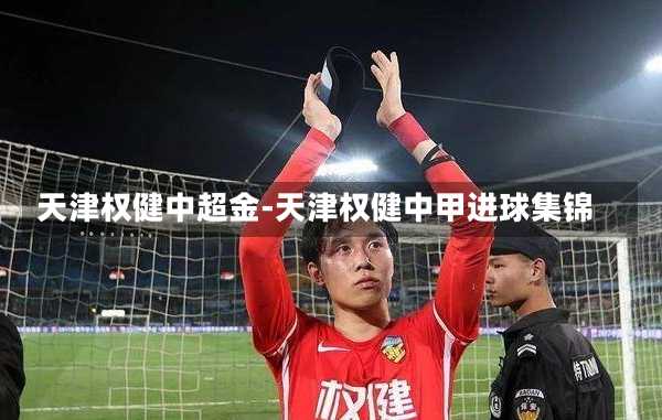 天津权健中超金-天津权健中甲进球集锦