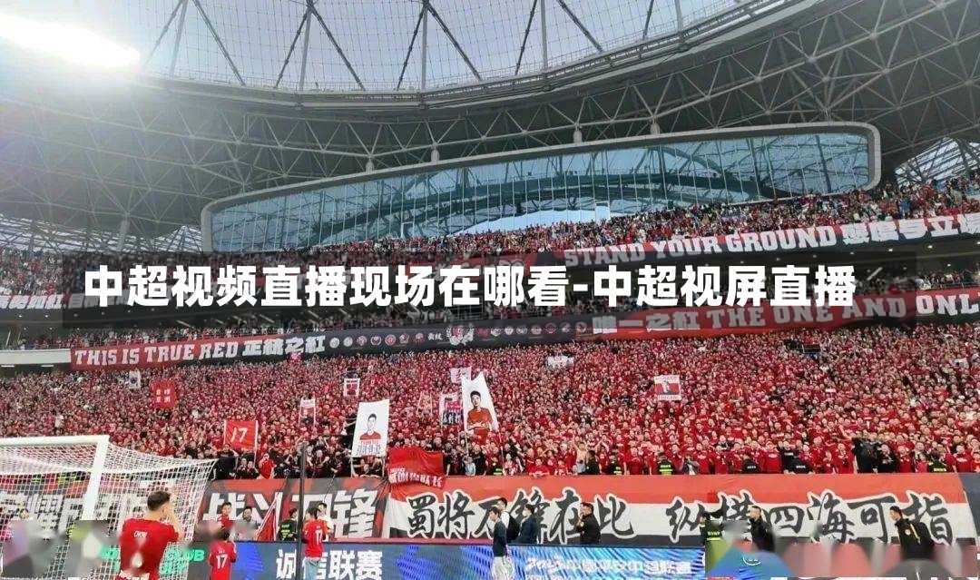 中超视频直播现场在哪看-中超视屏直播