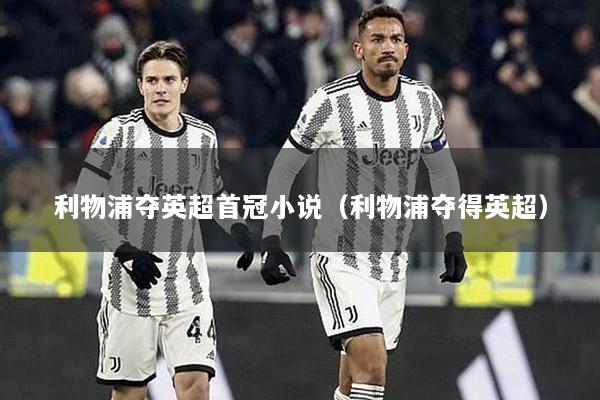 利物浦夺英超首冠小说（利物浦夺得英超）