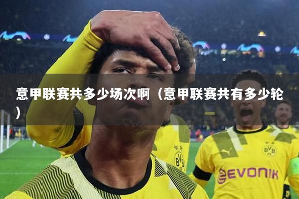 意甲联赛共多少场次啊（意甲联赛共有多少轮）
