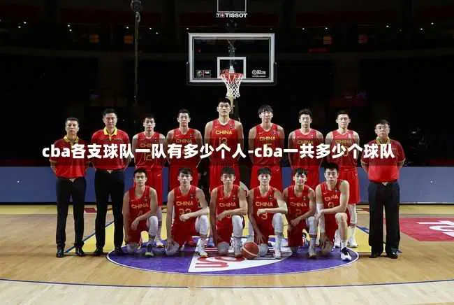 cba各支球队一队有多少个人-cba一共多少个球队