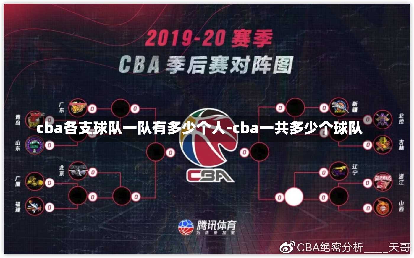 cba各支球队一队有多少个人-cba一共多少个球队