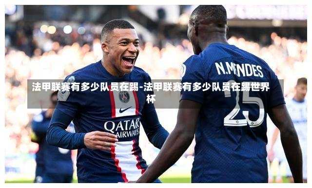 法甲联赛有多少队员在踢-法甲联赛有多少队员在踢世界杯