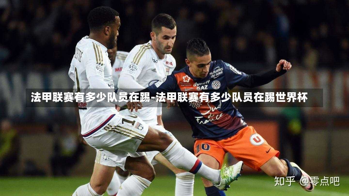 法甲联赛有多少队员在踢-法甲联赛有多少队员在踢世界杯