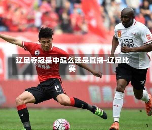 辽足夺冠是中超么还是直播-辽足比赛