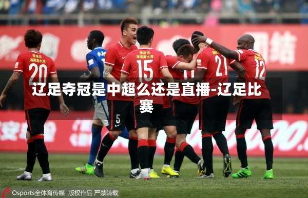 辽足夺冠是中超么还是直播-辽足比赛