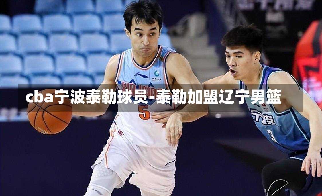 cba宁波泰勒球员-泰勒加盟辽宁男篮