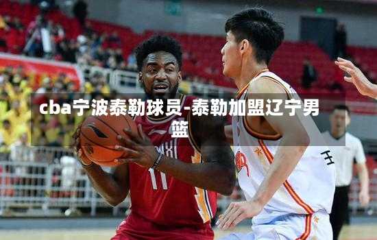 cba宁波泰勒球员-泰勒加盟辽宁男篮