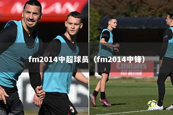 fm2014中超球员（fm2014中锋）