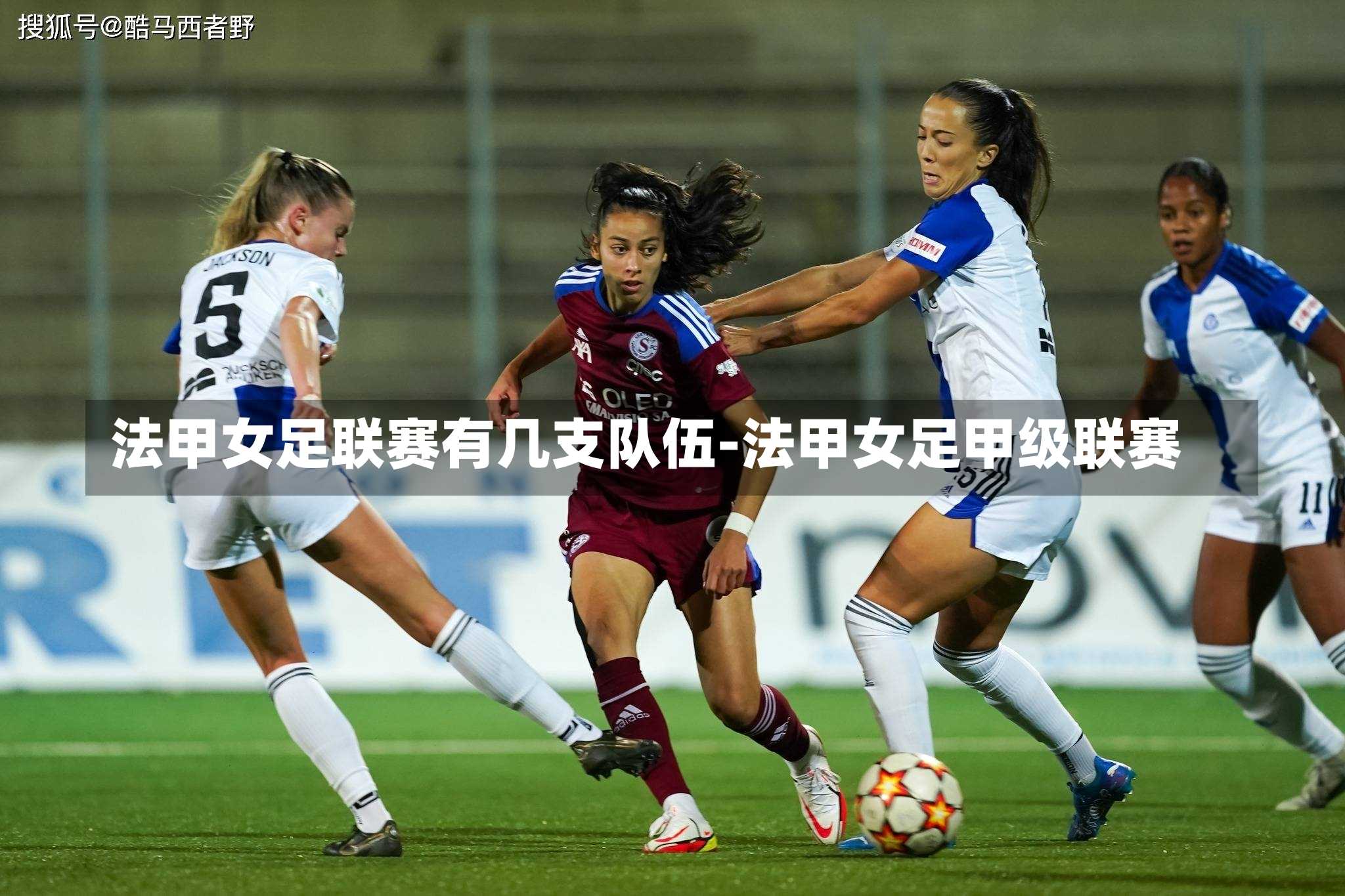 法甲女足联赛有几支队伍-法甲女足甲级联赛