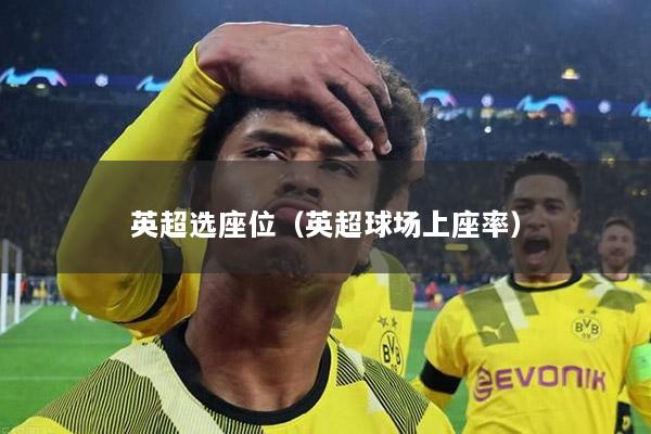 英超选座位（英超球场上座率）