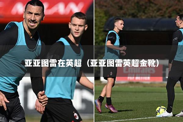 亚亚图雷在英超（亚亚图雷英超金靴）