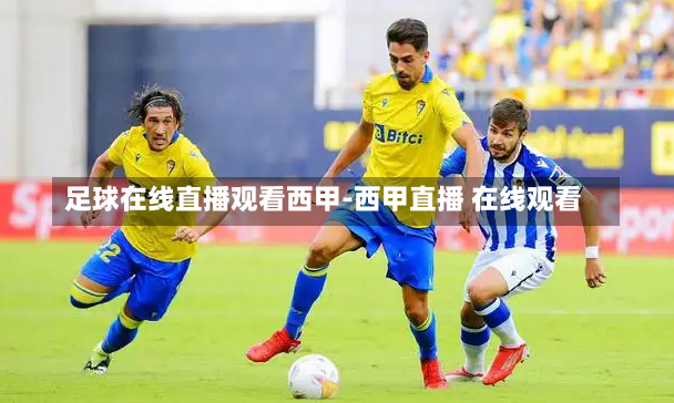 足球在线直播观看西甲-西甲直播 在线观看