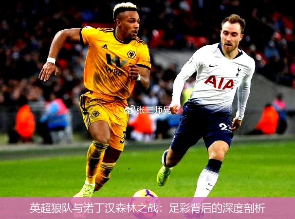 英超狼队与诺丁汉森林之战：足彩背后的深度剖析