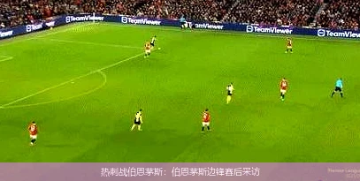 热刺战伯恩茅斯：伯恩茅斯边锋赛后采访