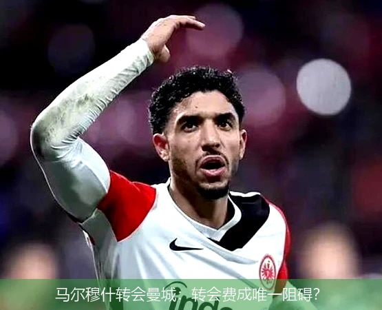 马尔穆什转会曼城:转会费成唯一阻碍?